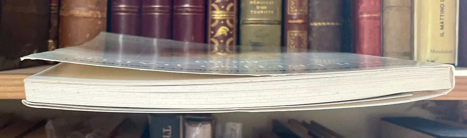 Bollettino d'Arte n.68-69 luglio-ottobre 1991 - immagine 13