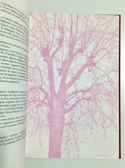 Alain Fournier Il Grande Amico illustrazioni di G. Grasso Fravega Olivetti 1997 - immagine 2