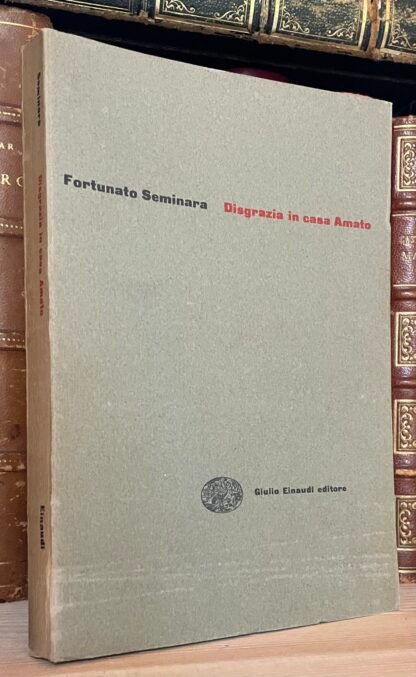 Fortunato Seminara Disgrazia in casa Amato Einaudi prima edizione giugno 1954