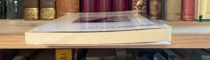 Jaffe Progresso e nazione economia ed ecologia Jaca Book 1990 - immagine 9