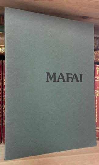 MAFAI catalogo esse arte Roma 1979