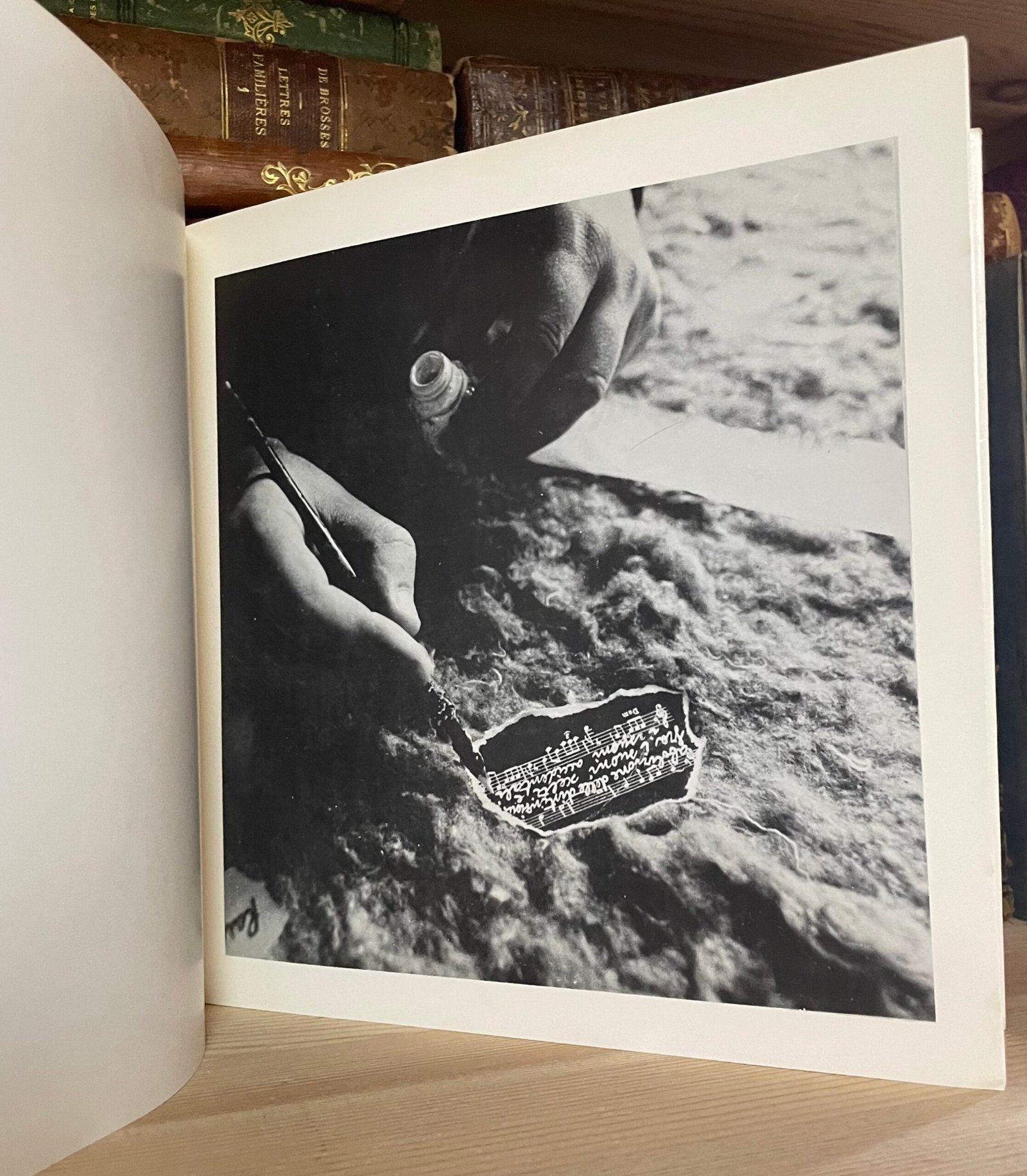 Bruno Donzelli Galleria Civica d'Arte Moderno Portofino 1980 - immagine 8