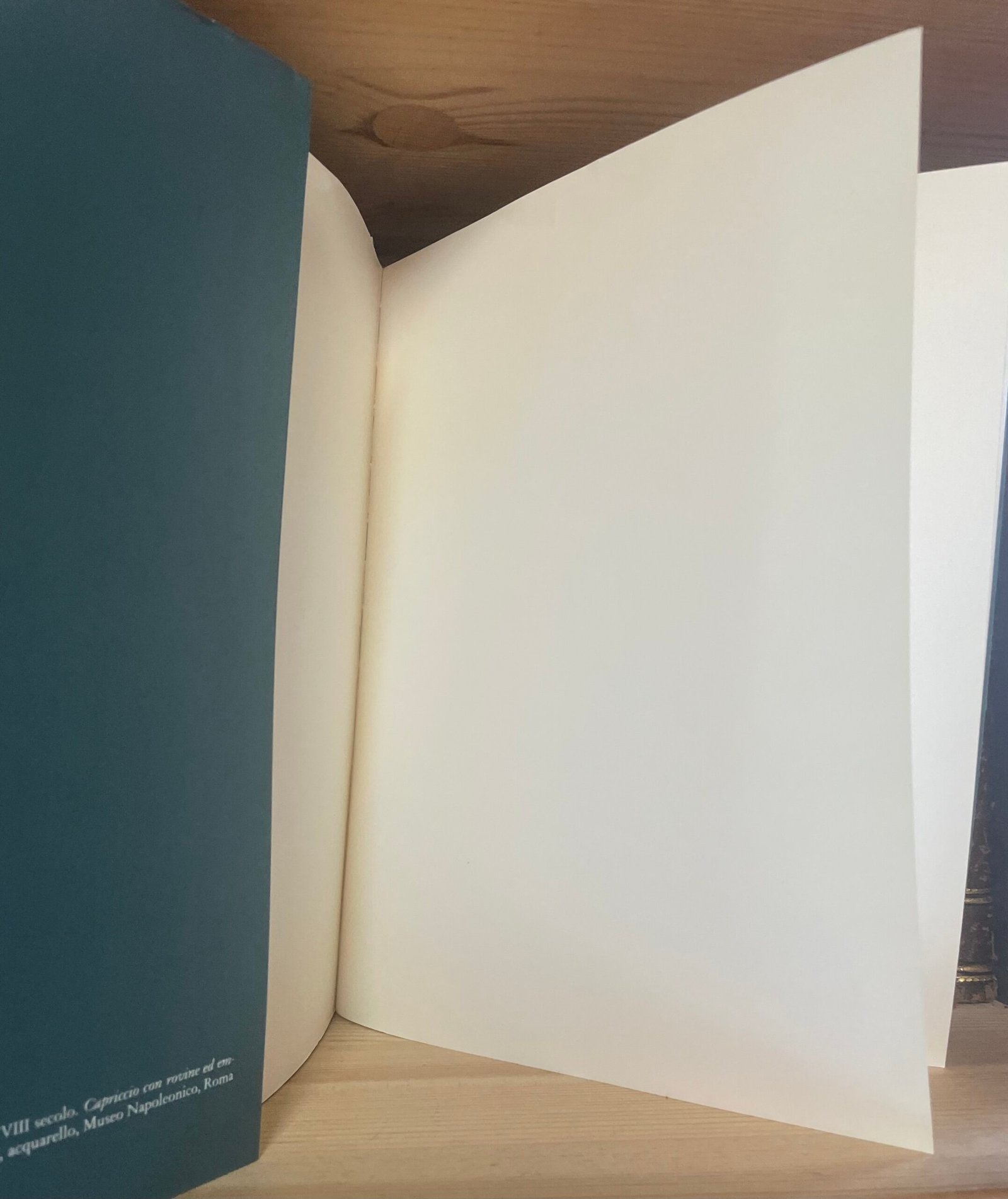 Il giardino del lago a Villa Borghese catalogo a cura di A. Campitelli 1993 - immagine 4