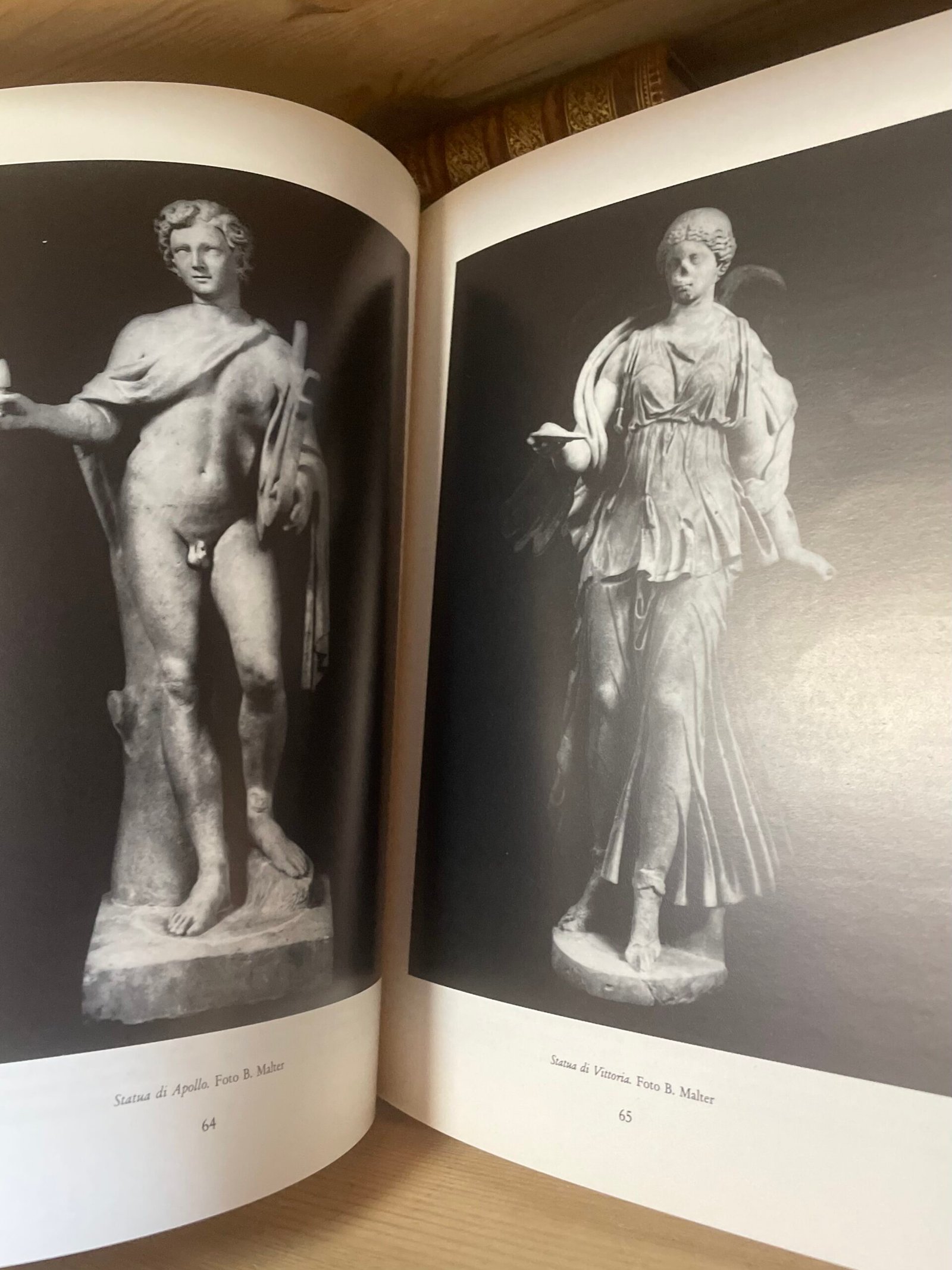 Il giardino del lago a Villa Borghese catalogo a cura di A. Campitelli 1993 - immagine 10