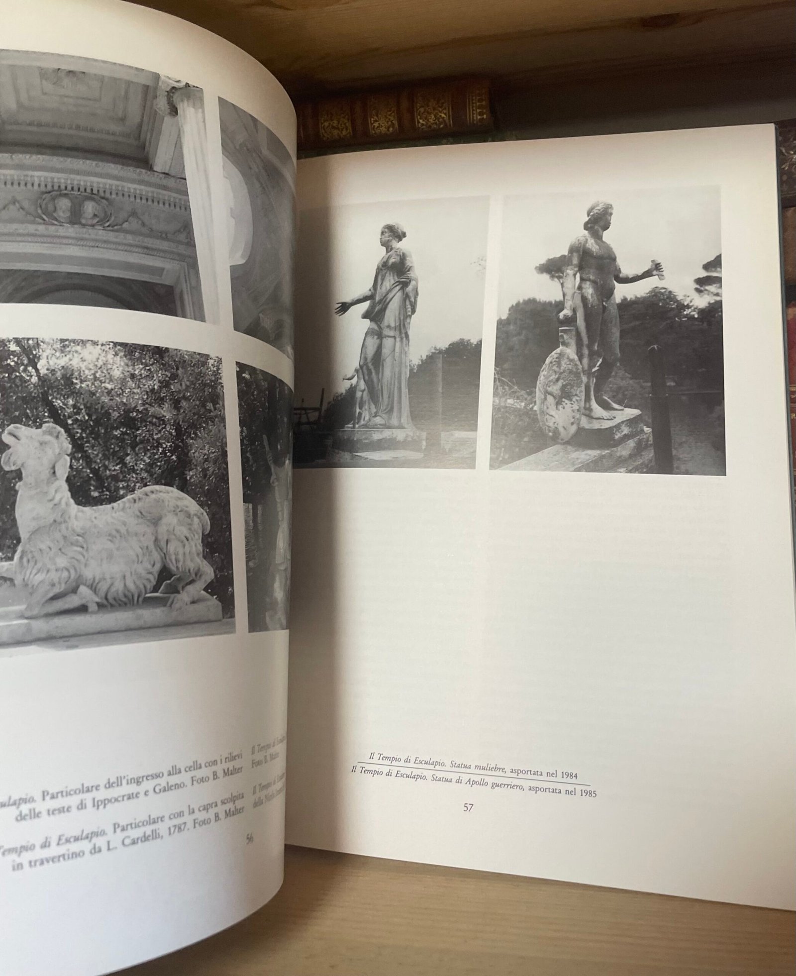 Il giardino del lago a Villa Borghese catalogo a cura di A. Campitelli 1993 - immagine 11