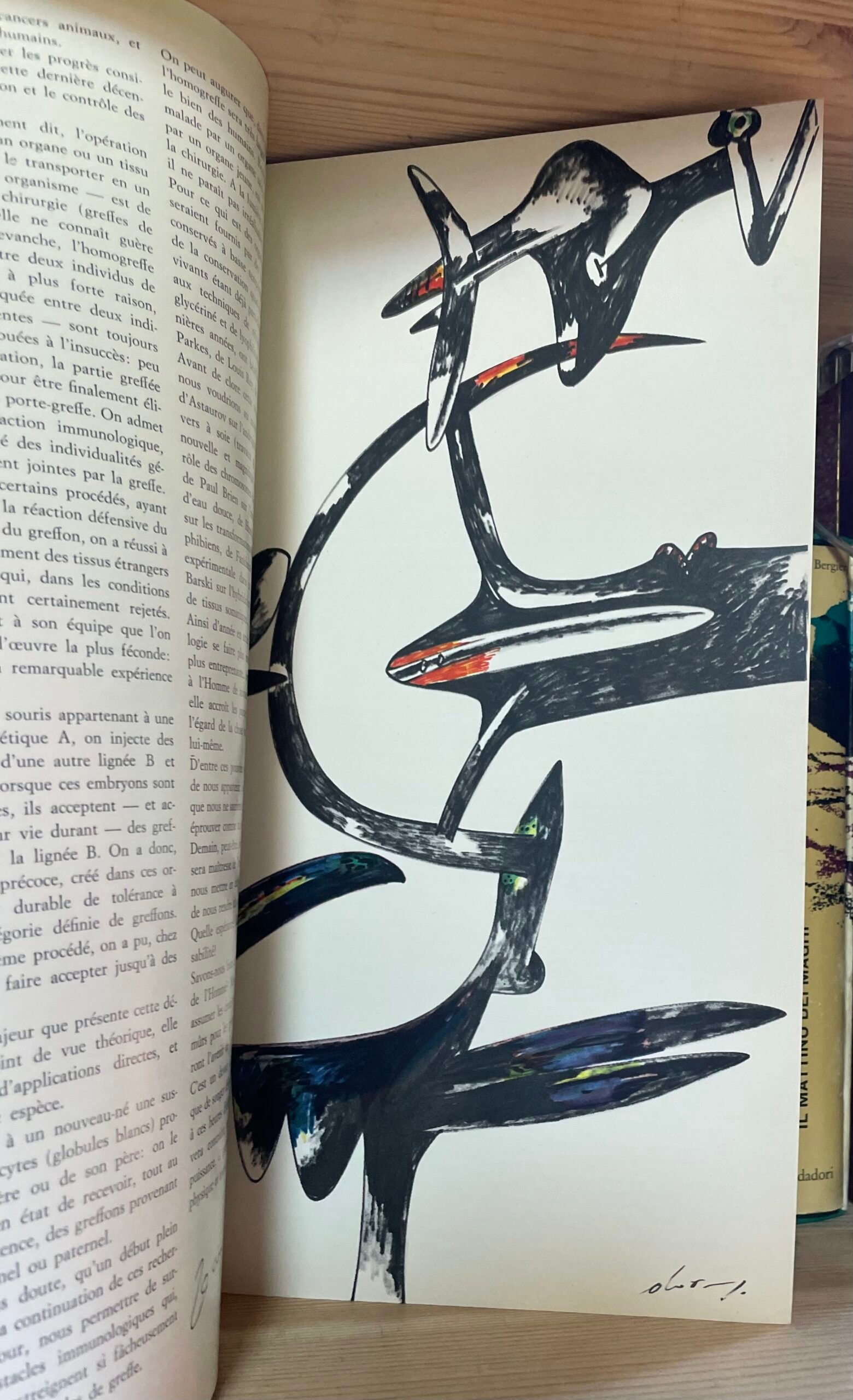 Civiltà delle macchine rivista bimestrale anno X n.6 novembre-dicembre 1962 - immagine 8