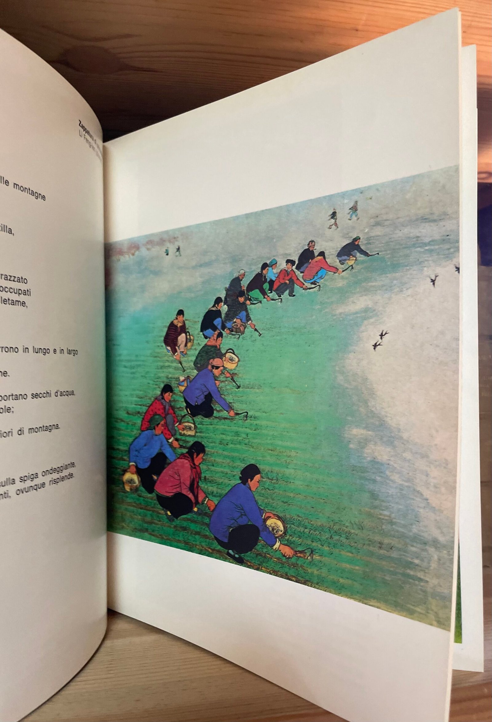 Huhsien pittori contadini della nuova Cina 1975 - immagine 12