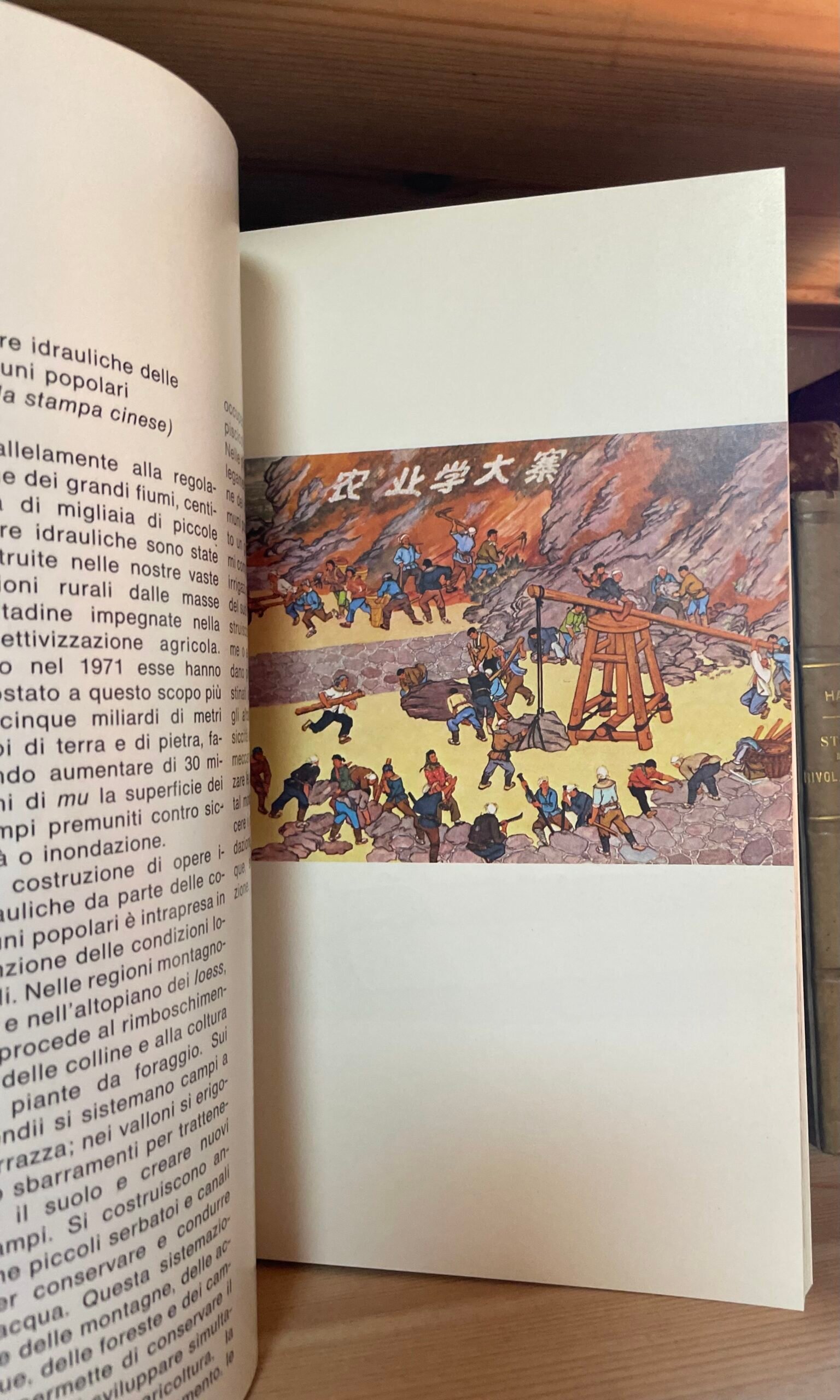 Huhsien pittori contadini della nuova Cina 1975 - immagine 13