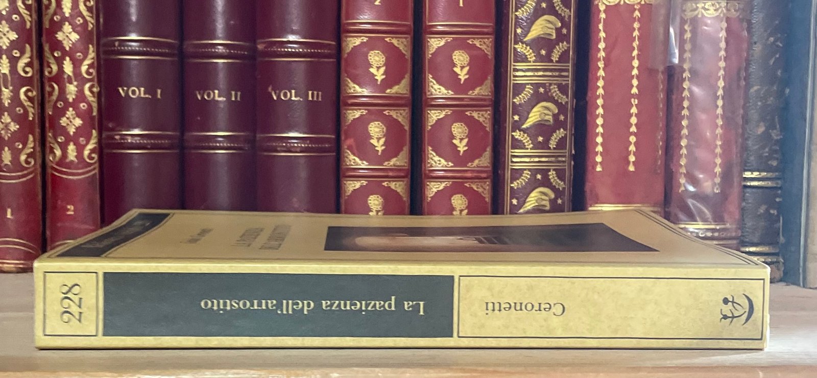 Guido Ceronetti La pazienza dell'arrostito Adelphi 228 novembre 1990 - immagine 7