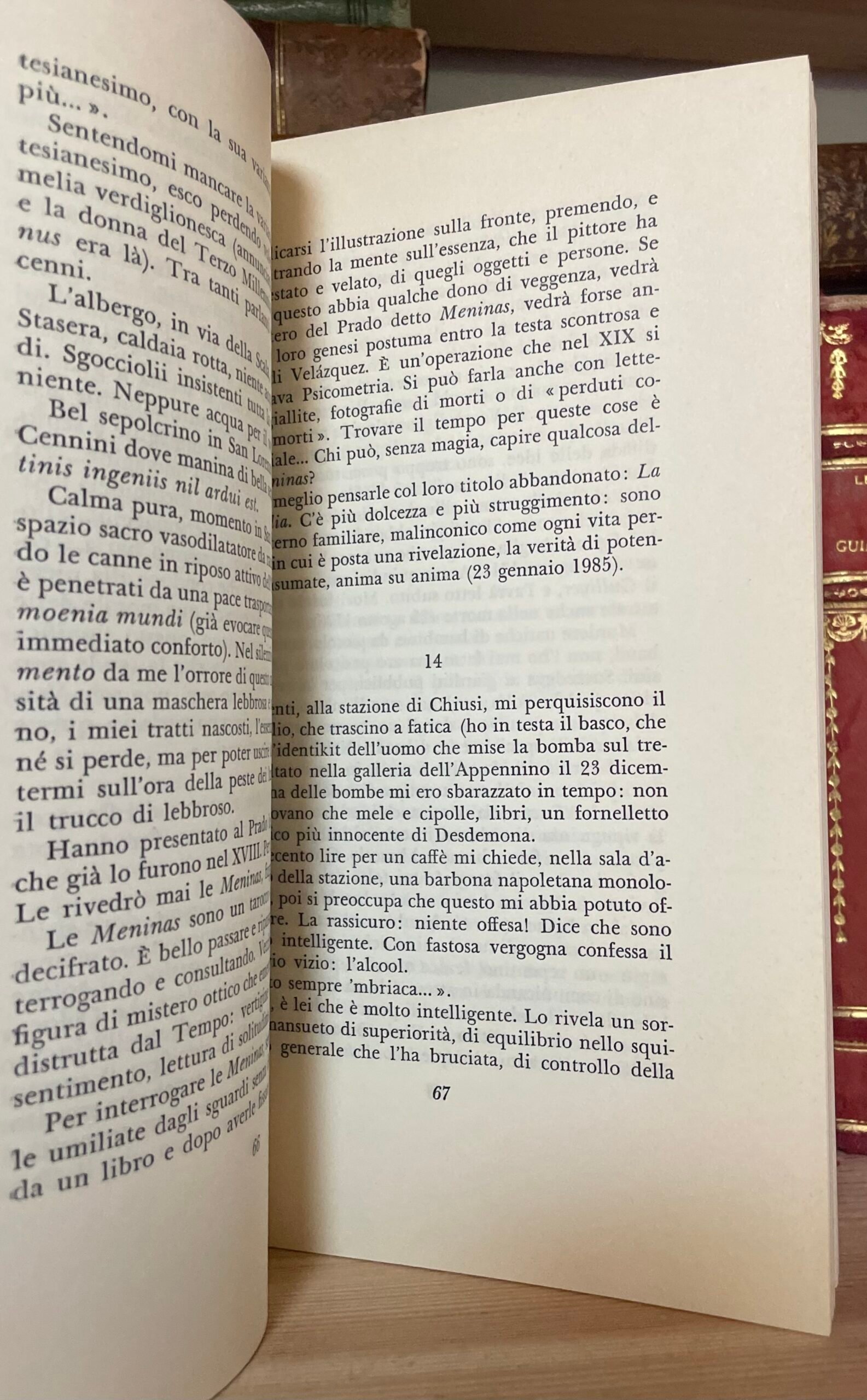 Guido Ceronetti La pazienza dell'arrostito Adelphi 228 novembre 1990 - immagine 5