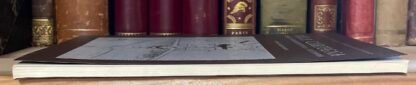 Benocci Proietti Villa Carpegna storia architettura restauro Roma 1987 - immagine 15