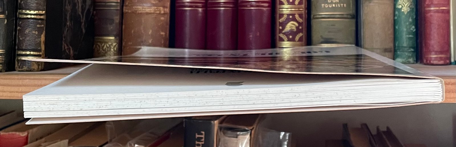 Venuti Goethe in Italia catalogo Roma 1995 - immagine 10