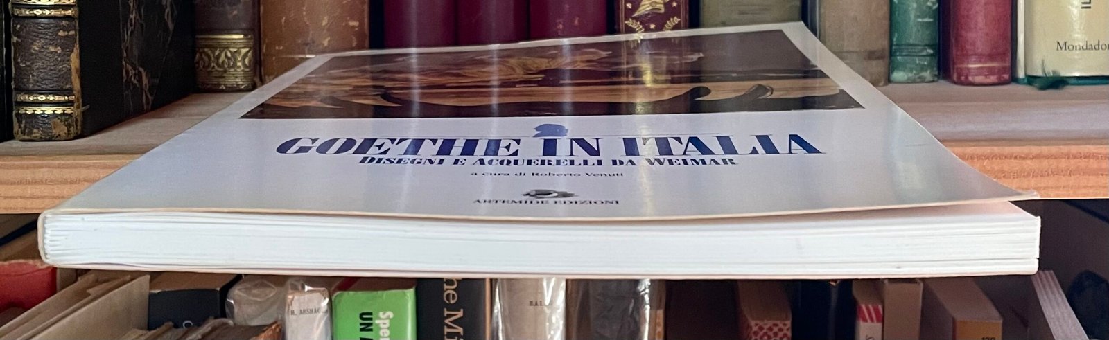 Venuti Goethe in Italia catalogo Roma 1995 - immagine 11