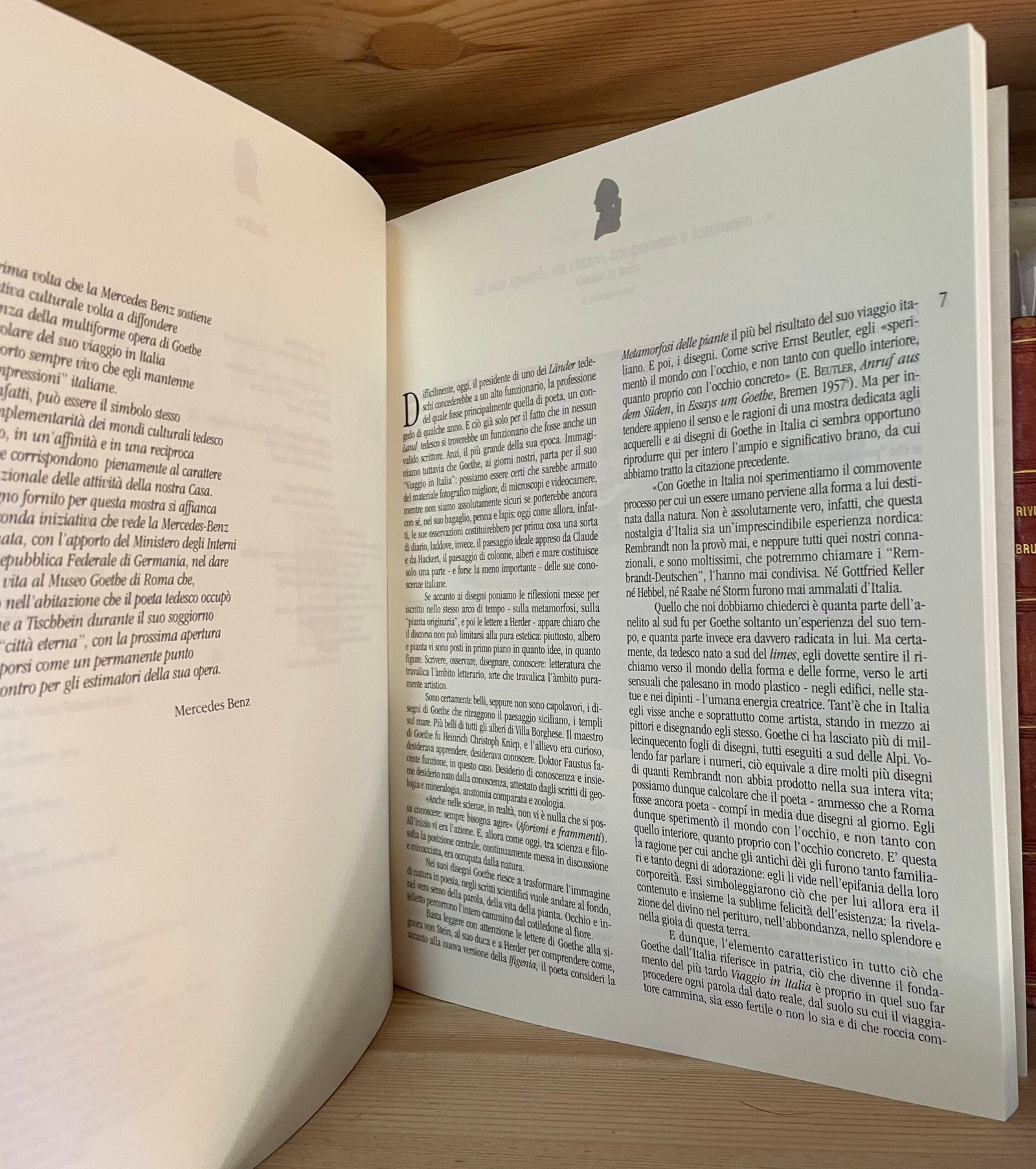 Venuti Goethe in Italia catalogo Roma 1995 - immagine 5