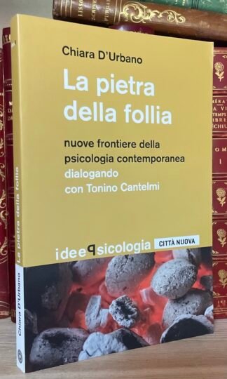 Chiara D'Urbano La pietra della follia città nuova 2016