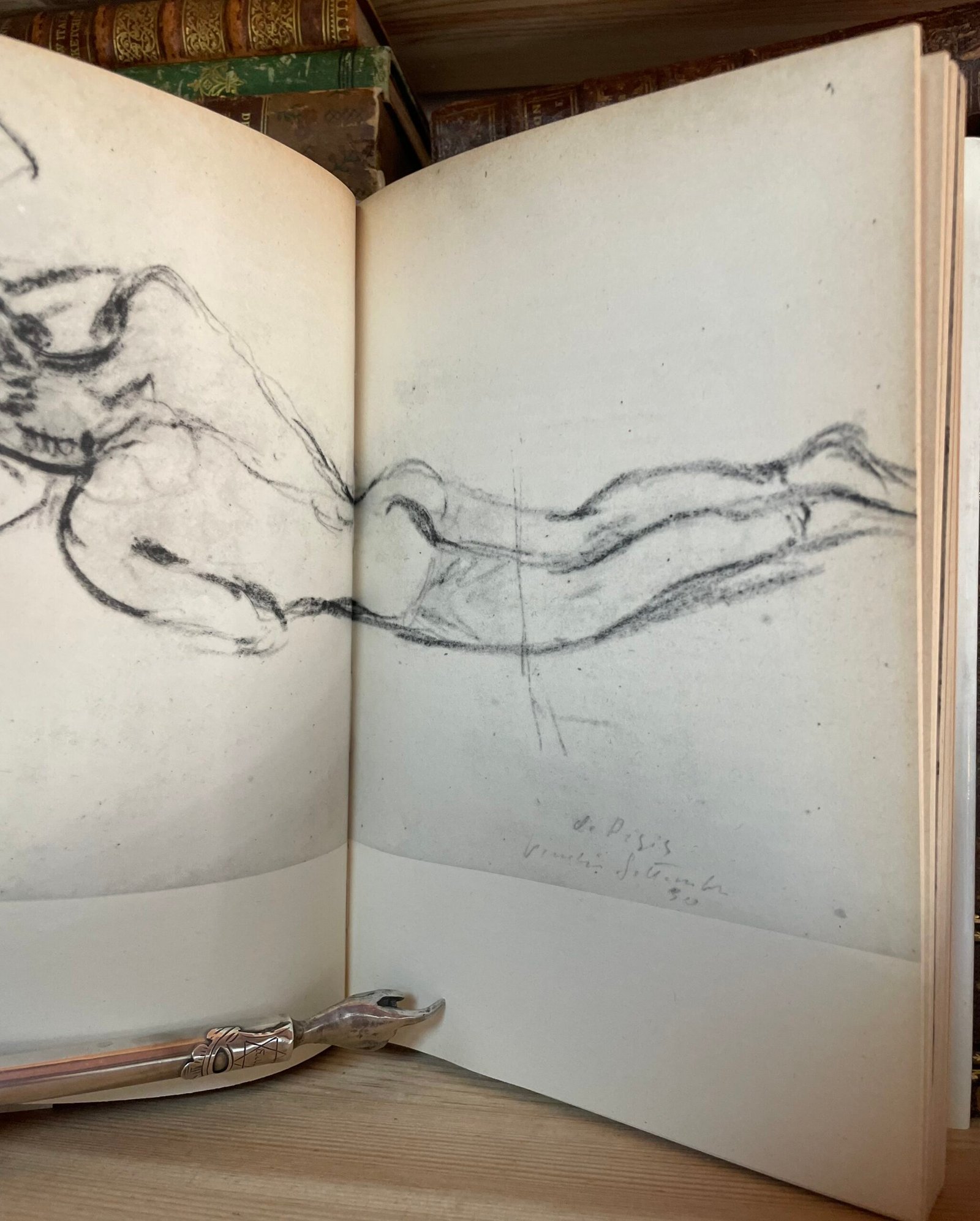 Filippo De Pisis Ore Veneziane a cura di Bona de Pisis Zanotto Longanesi 1974 - immagine 9