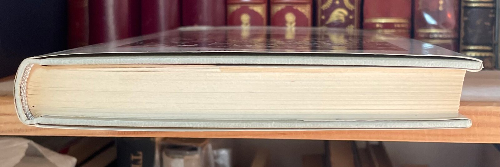 Filippo De Pisis Ore Veneziane a cura di Bona de Pisis Zanotto Longanesi 1974 - immagine 14