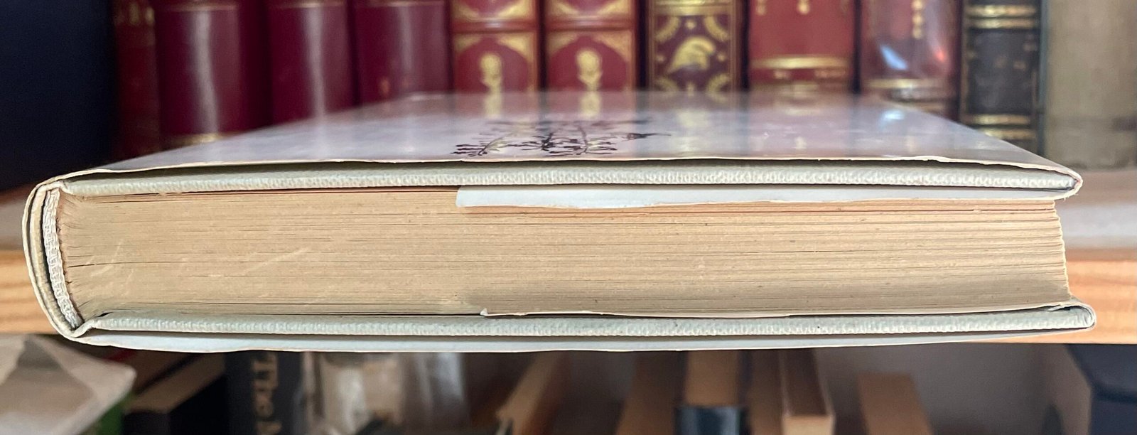 Filippo De Pisis Ore Veneziane a cura di Bona de Pisis Zanotto Longanesi 1974 - immagine 16