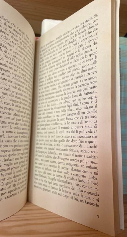 Vittorio Camillo Pescatori La maschia la prima storia da una comune Gay Re Nudo - immagine 5