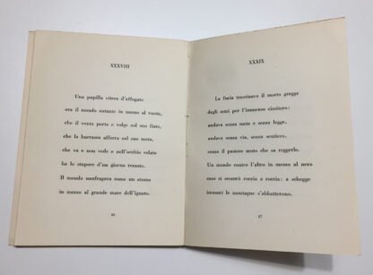 Stefania Plona Caos poema in strambotti Vallerini 1942 - immagine 4