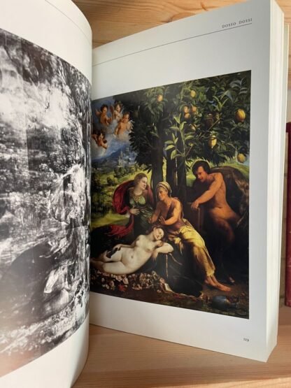 Nell'età di Correggio e dei Carracci  Pittura in Emilia dei secoli XVI e XVII - immagine 6
