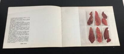 Catania Cosimelli Guardia Votano Librogalleria Ferro di Cavallo 1980 - immagine 6