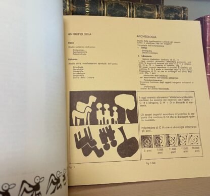 Tesori dell'Ecuador catalogo mostra Roma 1973 Istituto Italo-Latino Americano - immagine 6
