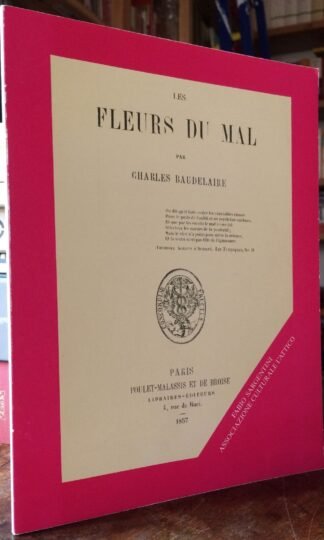 Les Fleurs du mal Roma Sargentini L'Attico 1994 Boatto