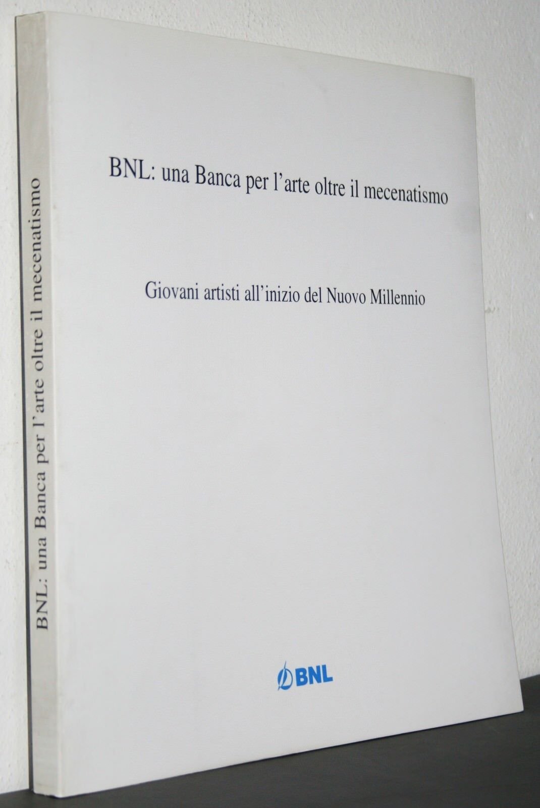 Giovani Artisti all'inizio del nuovo millennio BNL una banca per l'arte 2000