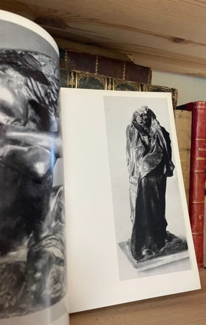 Auguste Rodin ( 1840-1917) catalogo della mostra Accademia di Francia Villa Medici 1967 - immagine 7