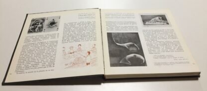 Romi Mythologie du sein J.J. Pauvert  27 gennaio 1965 - immagine 4