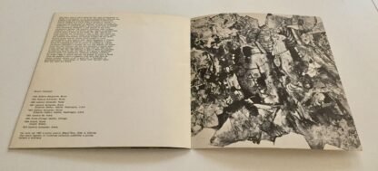 Gian Berto Vanni catalogo Roma Nuovo Carpine 1977 - immagine 5