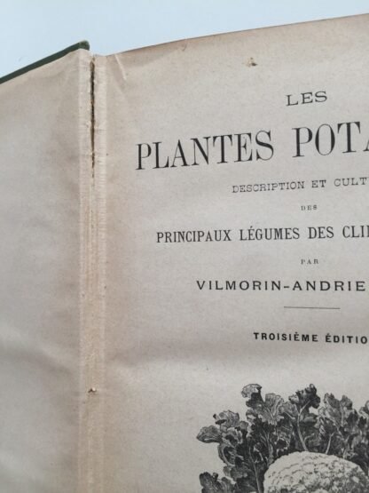 Vilmorin-Andrieux & Cie Les Plantes Potagères troisième édition 1904 - immagine 5