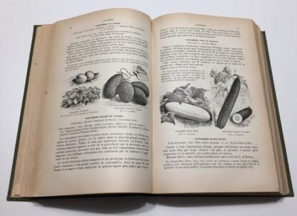 Vilmorin-Andrieux & Cie Les Plantes Potagères troisième édition 1904 - immagine 6