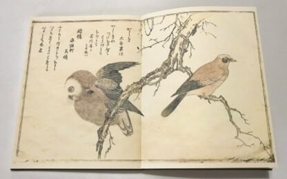 Utamaro Kitagawa A chorus of birds Secker & Warburg 1982 - immagine 7