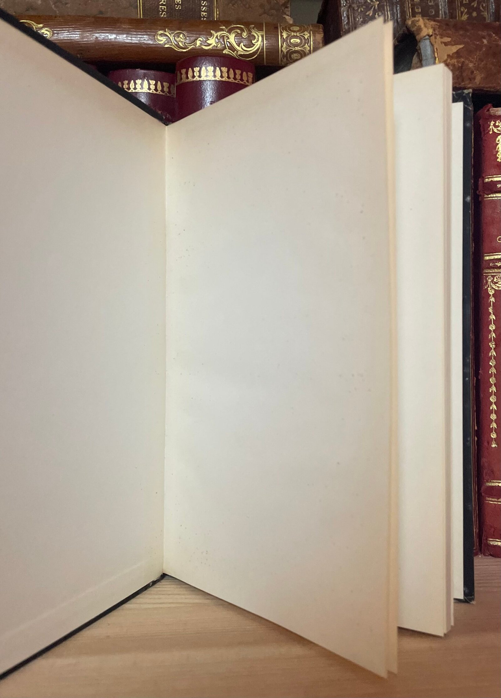 Alfred Kubin Demoni e visioni notturne Biblioteca delle Silerchie 1961 - immagine 3