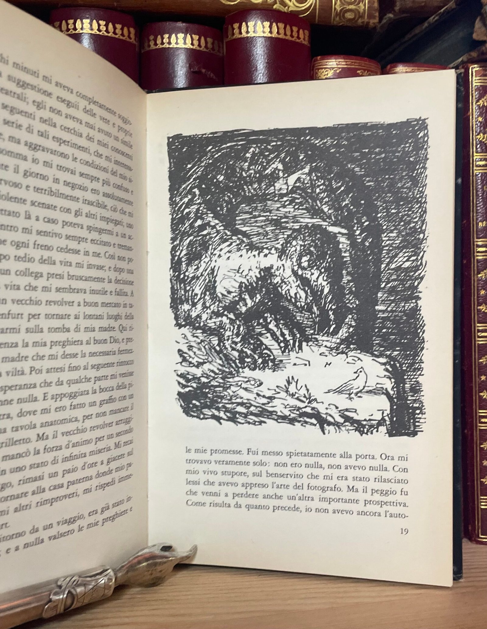 Alfred Kubin Demoni e visioni notturne Biblioteca delle Silerchie 1961 - immagine 6