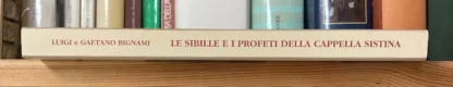 Luigi e Gaetano Bignami Le Sibille e i Profeti della Cappella Sistina 2006 - immagine 14