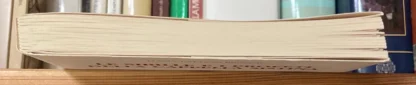 Luigi e Gaetano Bignami Le Sibille e i Profeti della Cappella Sistina 2006 - immagine 17