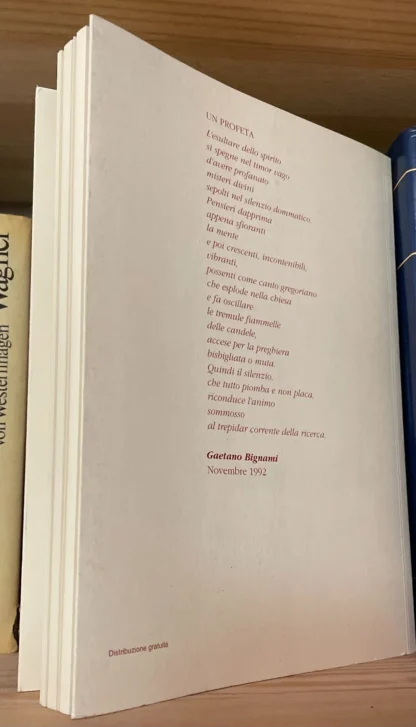 Luigi e Gaetano Bignami Le Sibille e i Profeti della Cappella Sistina 2006 - immagine 2