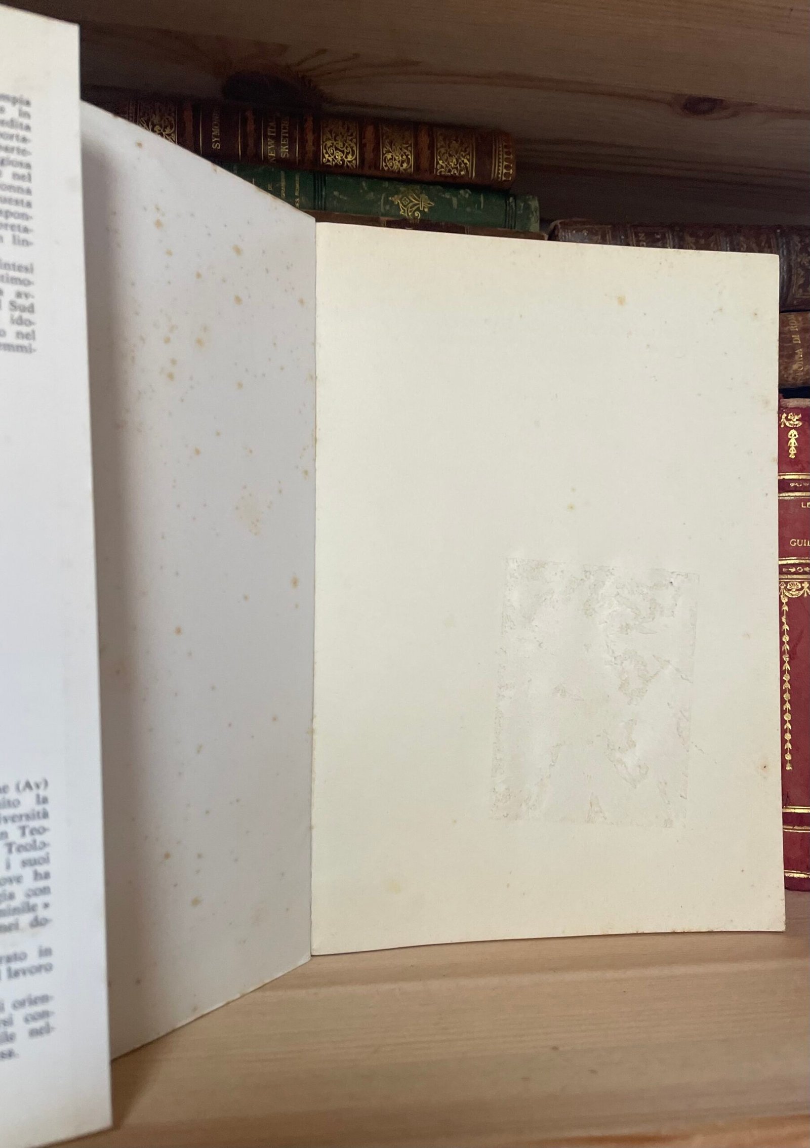 Adriana Valerio La questione femminile nei secoli X-XII D'Auria Editore Napoli - immagine 2