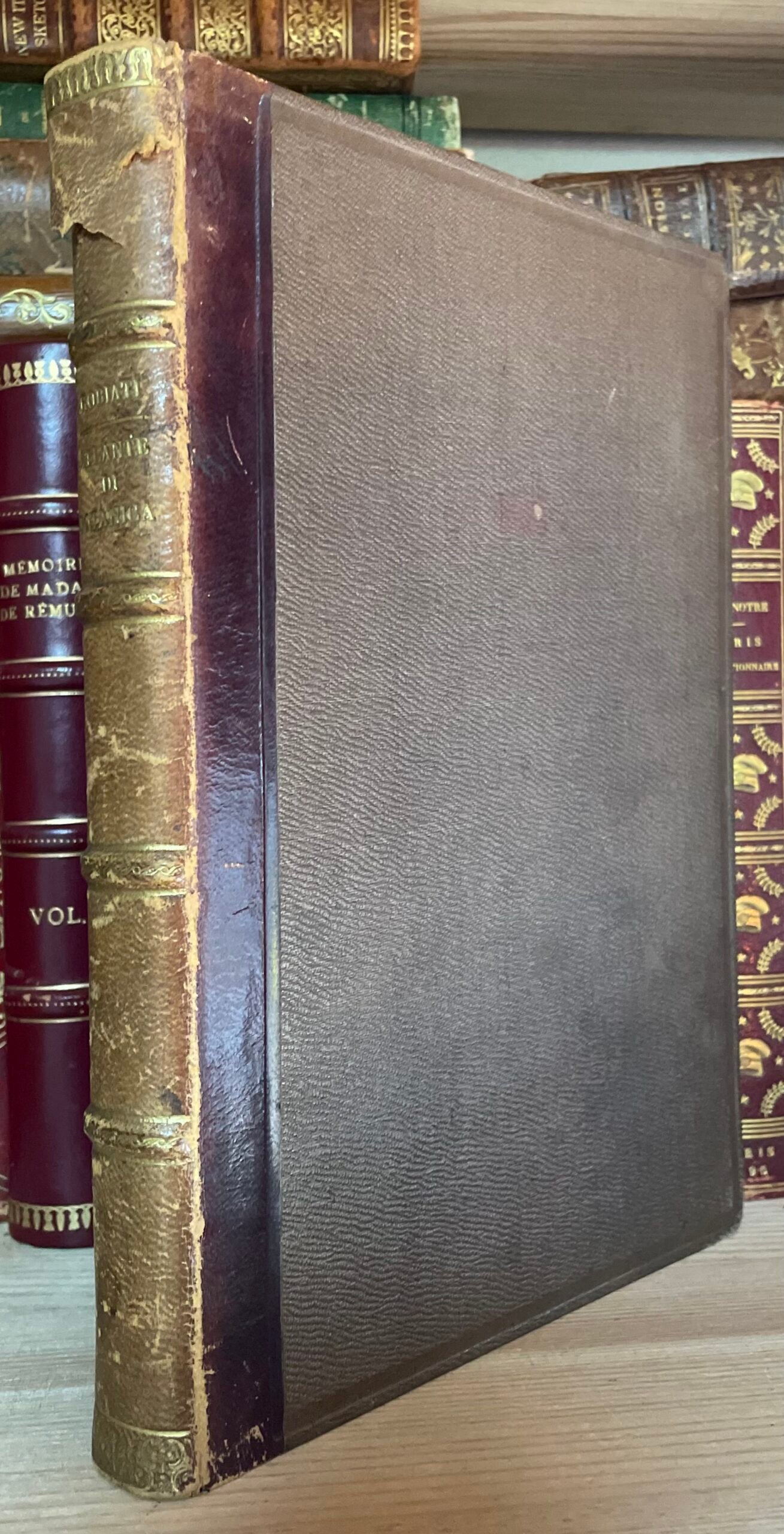 Ambrogio Robiati Atlante elementare di botanica 50 tavole colorate 1847 - immagine 7