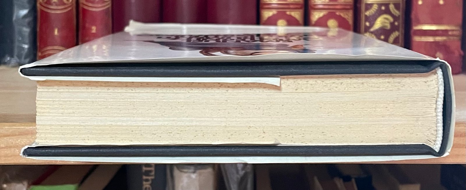 Winternitz Gli strumenti musicali e il loro simbolismo nell'arte occidentale boringhieri 1982 - immagine 14