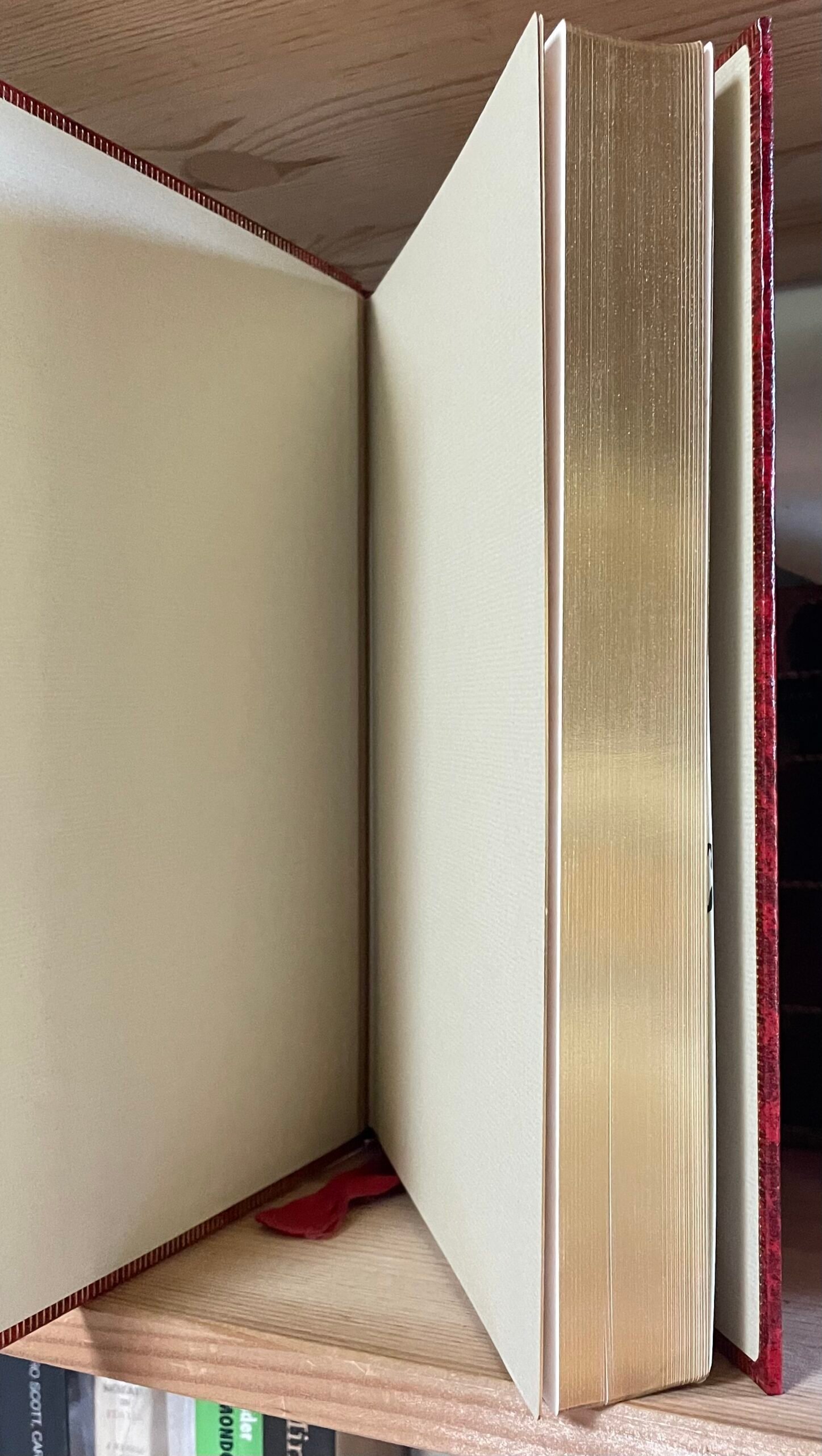 I Fioretti di San Francesco Edizioni Paoline 1981 - immagine 10