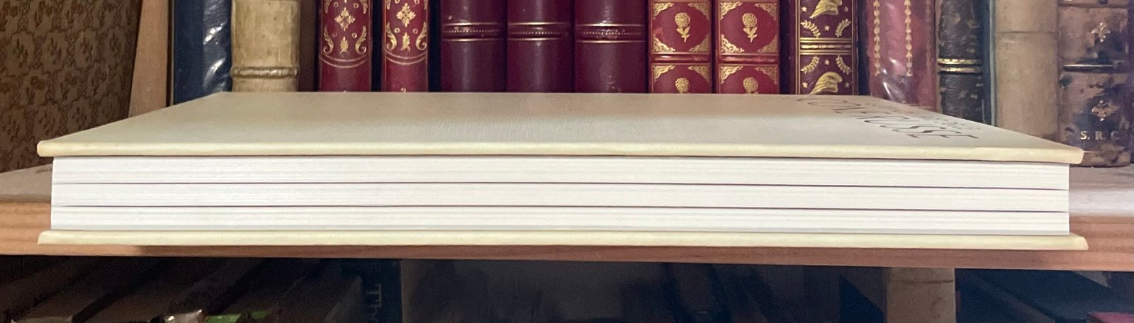 Vladimir Ivanov Il Grande libro delle Icone Russe Edizioni Paoline 1987 - immagine 18