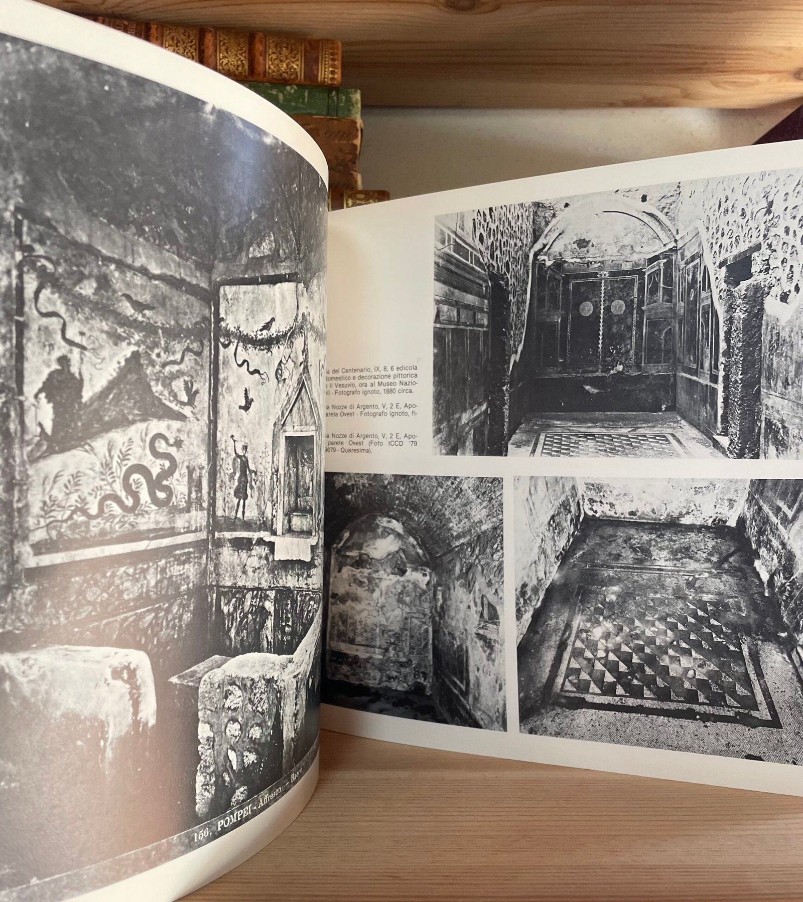 Pompei 1748-1980 Ii tempi della documentazione catalogo 1981 - immagine 5