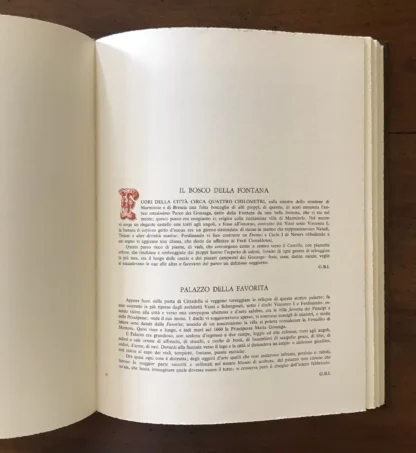 Mantova nell'ottocento Editalia 1987 - immagine 6