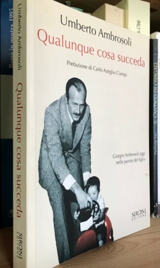 Umberto Ambrosoli Qualunque cosa succeda Sironi 2009