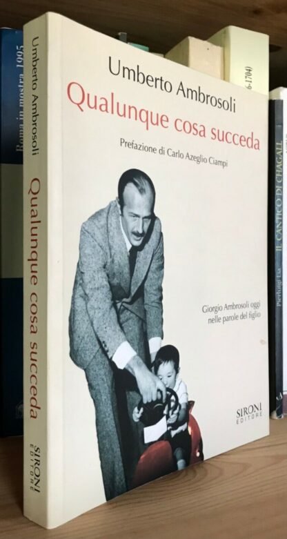 Umberto Ambrosoli Qualunque cosa succeda Sironi 2009
