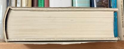 Il valore dei dipinti dell'Ottocento l'analisi critica storica economica 1984 - immagine 19